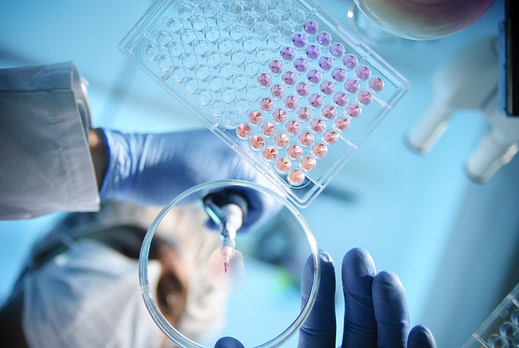Lab Experiment